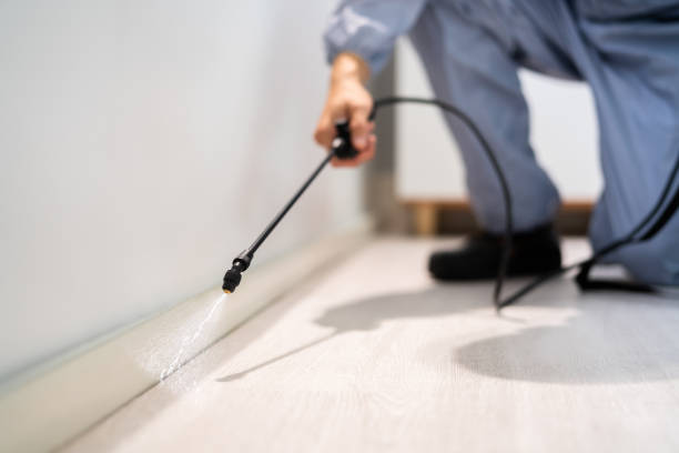 Licensed Termite Control service in Golden Triangle, NJ - Nex Pest Control