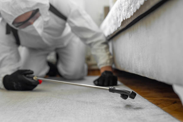 Professional Termite Control technician working in Golden Triangle, NJ