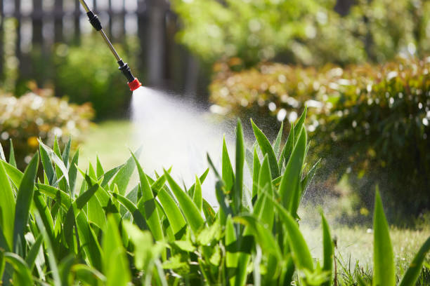 24/7 Emergency Termite Control experts in Golden Triangle, NJ