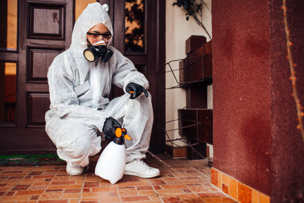 Reliable Termite Control contractor in Golden Triangle, NJ by Nex Pest Control