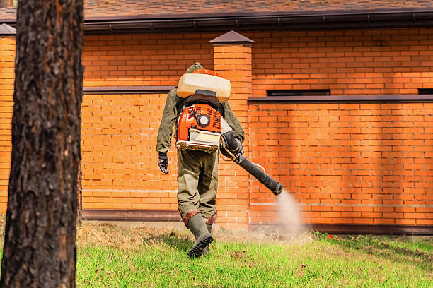 Trusted Cockroach Control service in Golden Triangle, NJ - Nex Pest Control